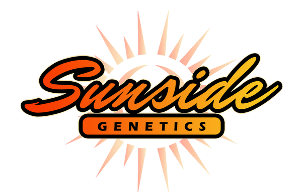 Sunside Genetics